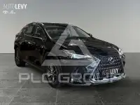 2023 Lexus NX250