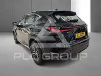 2023 Lexus NX250