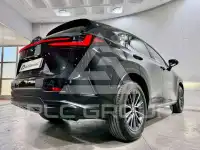 2023 Lexus NX250