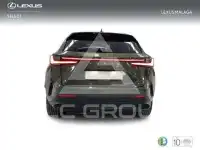 2023 Lexus NX250