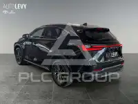 2023 Lexus NX250