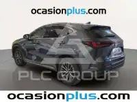 2023 Lexus NX250