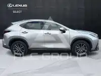 2023 Lexus NX250