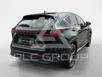 2023 Lexus NX250