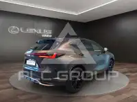 2023 Lexus NX250
