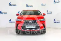 2023 Lexus NX250