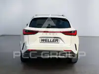 2023 Lexus NX250