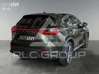 2023 Lexus NX250