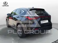 2023 Lexus NX250