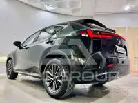 2023 Lexus NX250