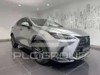 2023 Lexus NX250