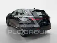 2023 Lexus NX250
