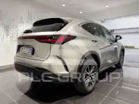2023 Lexus NX250