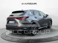 2023 Lexus NX250