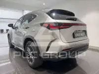 2023 Lexus NX250
