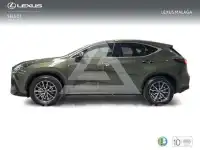 2023 Lexus NX250