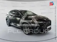 2023 Lexus NX250