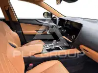 2023 Lexus NX250