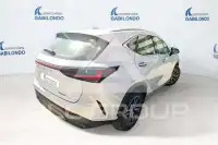 2023 Lexus NX250