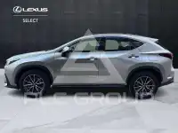 2023 Lexus NX250