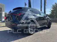 2023 Lexus NX250