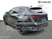 2023 Lexus NX250