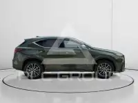 2023 Lexus NX250