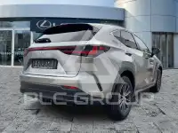 2023 Lexus NX250