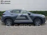 2023 Lexus NX250