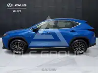 2023 Lexus NX250