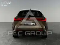 2023 Lexus NX250