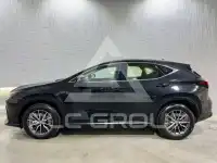 2023 Lexus NX250