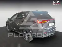 2023 Lexus NX250