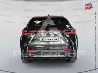 2023 Lexus NX250