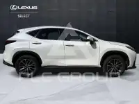 2023 Lexus NX250