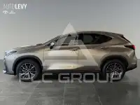 2023 Lexus NX250