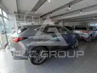 2023 Lexus NX250