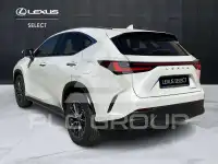2023 Lexus NX250