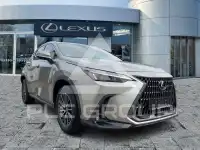 2023 Lexus NX250