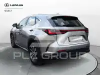 2023 Lexus NX250