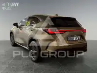 2023 Lexus NX250