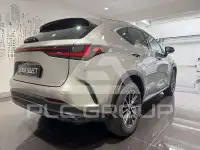 2023 Lexus NX250