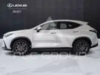 2023 Lexus NX250