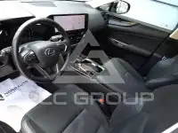 2023 Lexus NX250