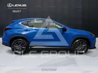 2023 Lexus NX250
