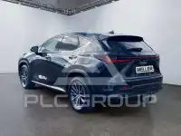 2023 Lexus NX250