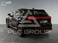 2023 Lexus NX250