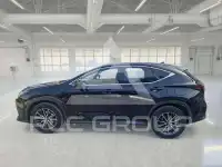 2023 Lexus NX250