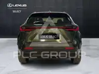 2023 Lexus NX250