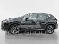 2023 Lexus NX250